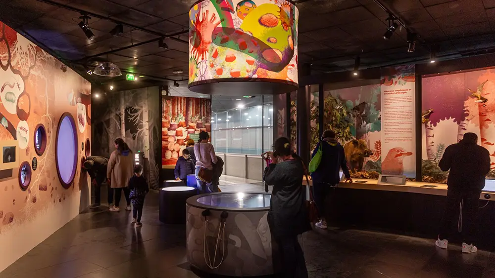 Nouvel espace Biodiversité du parcours permanent – Dispositifs multimédia & motion design